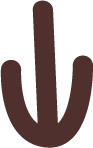 brown arrow icon