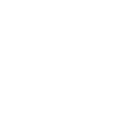 current item icon